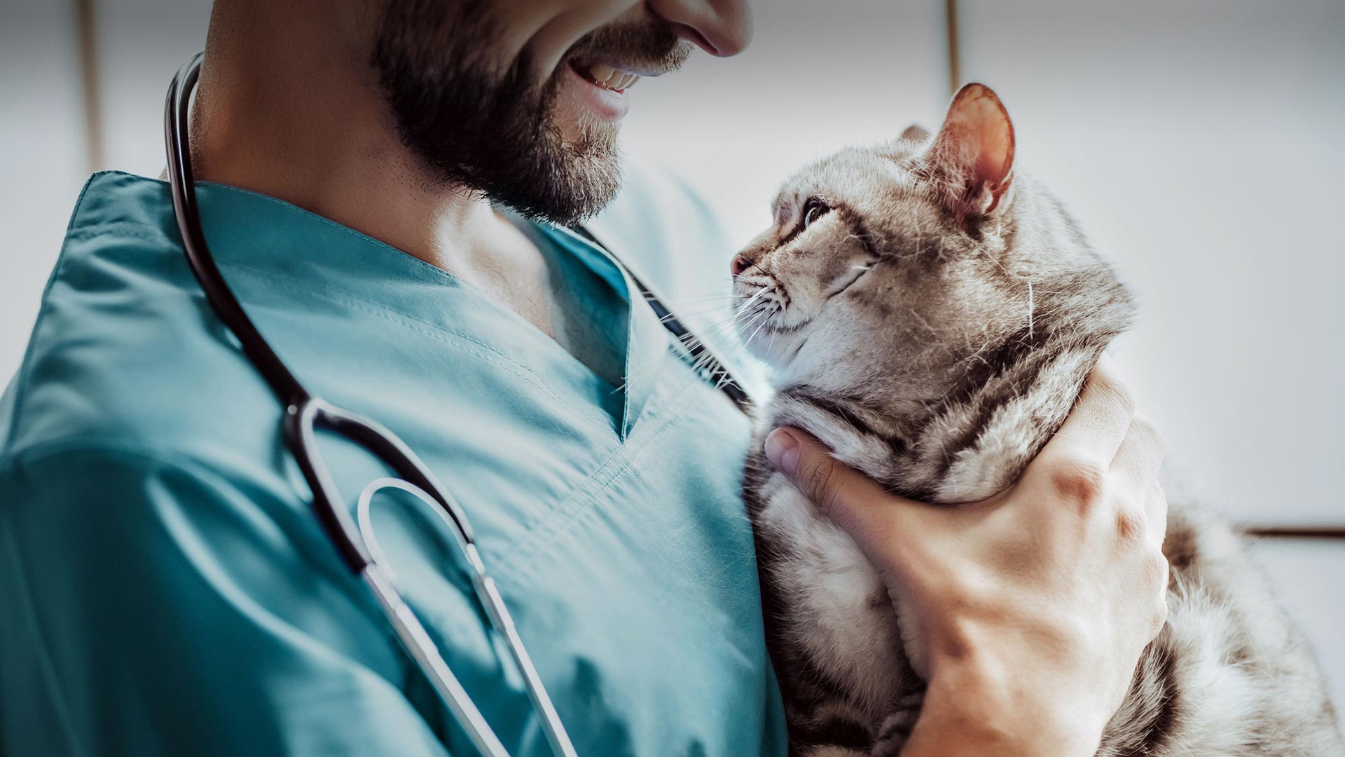 Başçiftlik Veteriner